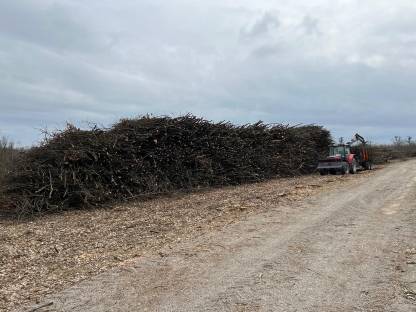 Bild 2:Holztransport