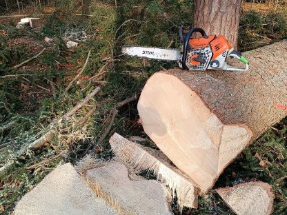 Bild 4:Holzschlägerung & Bringung