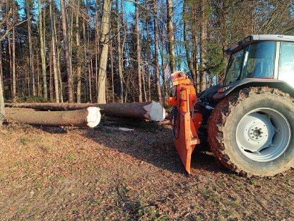 Bild 3:Holzschlägerung & Bringung