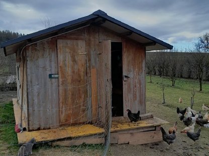 Bild 3:PKH Geflügelstall