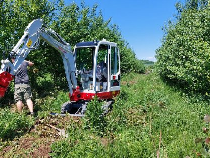 Bild 2:Baggerarbeiten, Erdbewegung, Gartengestaltung in NÖ