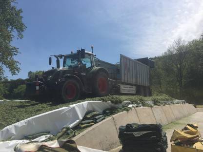 Bild 6:Gras / Mais häckseln