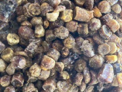 Bild 3:Verkaufe Bienenbrot, Perga