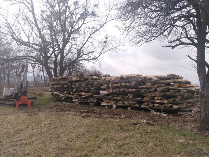 Bild 2:Vermiete Takeuchi Tb175 und Anbaugeräte