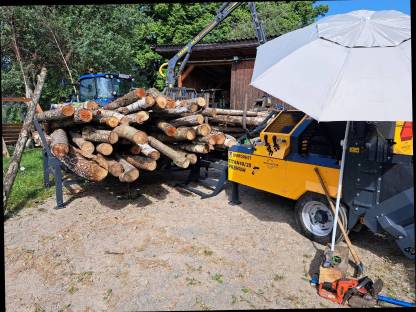 Bild 3:Sägespaltautomat Lohnspalten