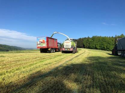 Bild 4:Gras / Mais häckseln