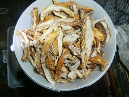 Bild 2:500 g getrocknete Steinpilze und Kaiserlinge