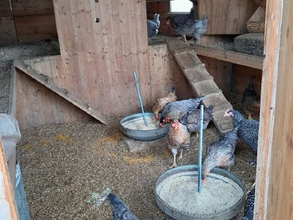 Bild 5:PKH Geflügelstall