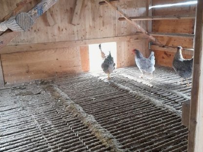 Bild 6:PKH Geflügelstall