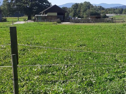 Bild 6:Grundstück mit Unterstand