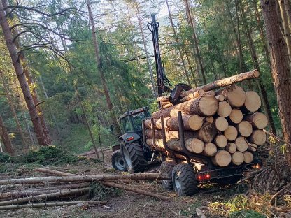 Bild 7:Holzschlägerung & Bringung