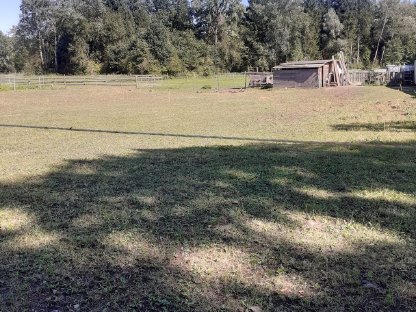 Bild 2:Grundstück mit Unterstand