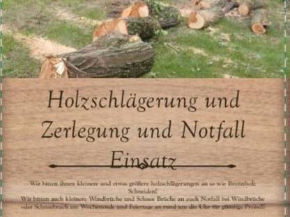 Bild 2:Holzschlägerungen