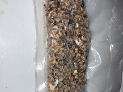 Bild 4:Verkaufe Bienenbrot, Perga