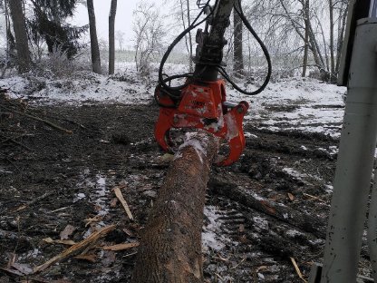 Bild 2:Langholz spalten, holzspalten