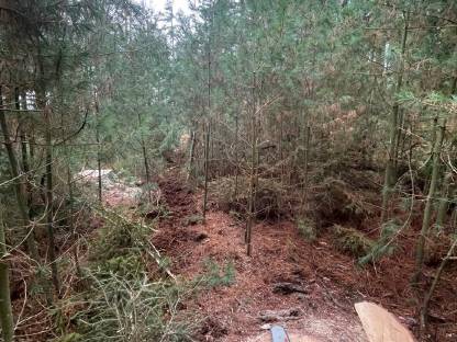 Bild 2:Forstarbeiten