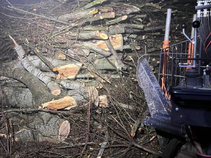 Bild 3:Holztransport