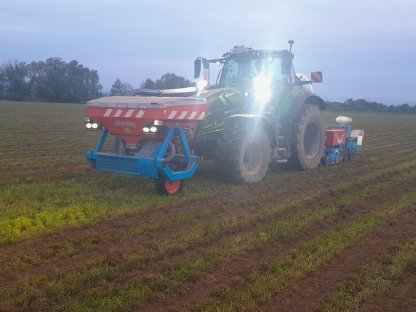 Bild 3:Streifenfrässaat Strip Till