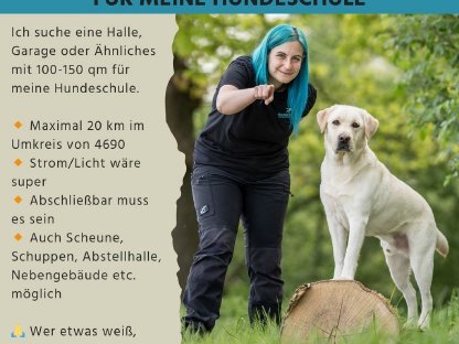 Suche: Indoor-Trainingsfläche für Hundeschule