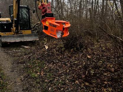 Bagger und Forstarbeiten