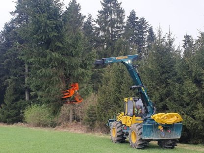 Westtech Woodcracker CS510 Crane Greifersäge Fällgreifer