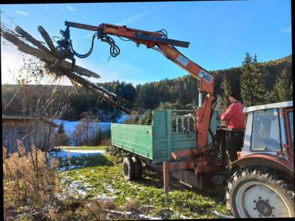 Forstanhänger Kranwagen Kipper