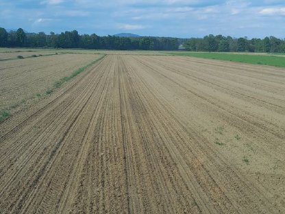 Bild 3:Kombiniertes Mais- und Kürbissetzen Monosem Monoshox NG 4+