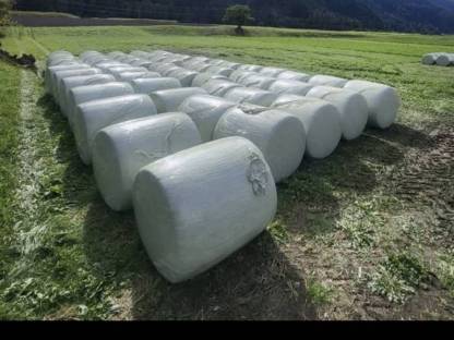 Maissilageballen