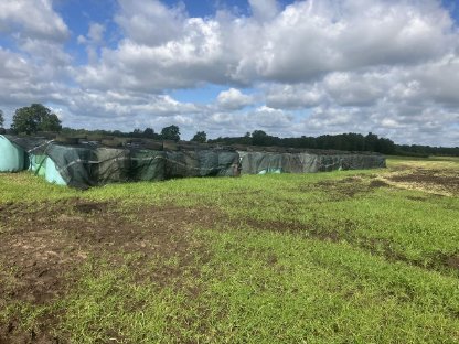 Trockene Heulage Rundballen