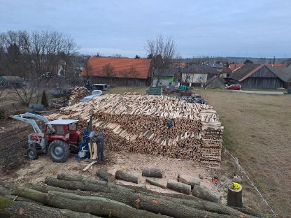 Bild 4:Lohnschneiden mit Trommelsäge
