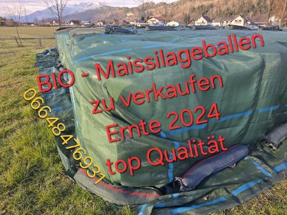 BIO-Maissilageballen