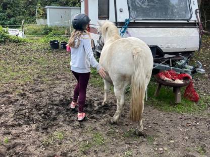 Reitbeteiligung auf Ponystute Sonja