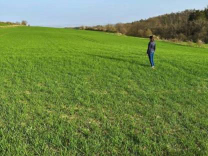 Kleine Wirtschaft mit 9,4 ha Nähe Horn