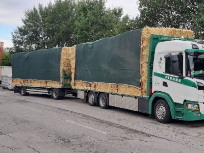 Stroh, Heu, Grumet, Silageballen, Maissilageballen