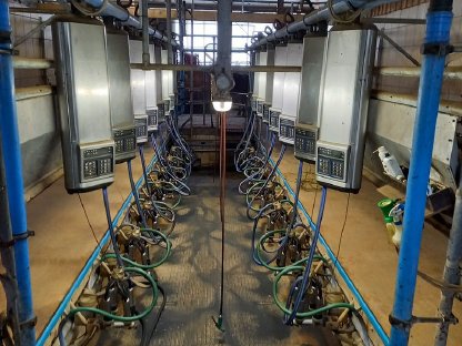 DeLaval Melkstand gebraucht zu verkaufen