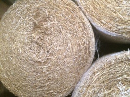 Bild 3:Bio-Ware zu verkaufen