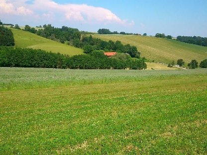 Ca. 1 Hektar Wiese in Gröbming