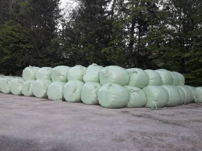 Silageballen