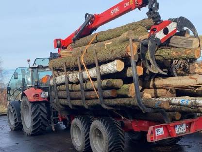 Bild 2:Rundholztransport, Holztransport, Rückewagentransport