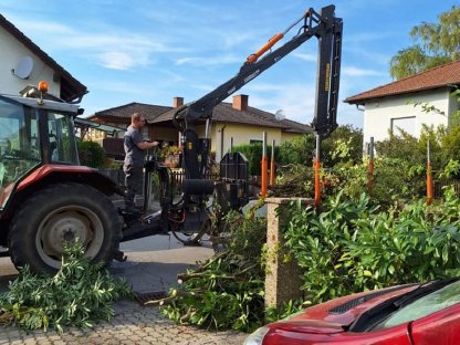 Bild 2:Baumrodung Baumabtragung