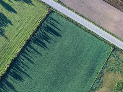 Pachtflächen zur biologischen Bewirtschaftung