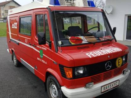 Mercedes Benz 310, Transporter