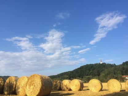 Stroh, Strohballen, Rundballen