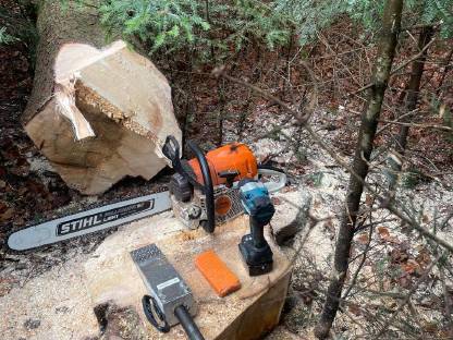 Bild 2:Holzschlägerungen