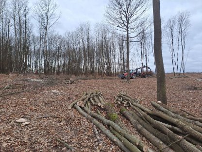 Holzschlägerung und Holztransporte