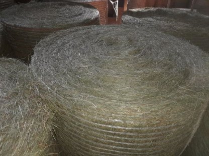 Bild 3:Belüftungs-Heu