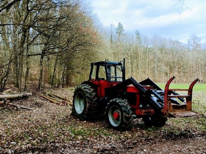 Bild 4:Forstdienstleistungen Holzeinschlag Holzrücken