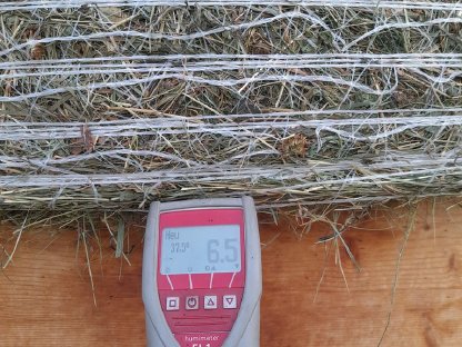 Bild 4:Belüftungs-Heu