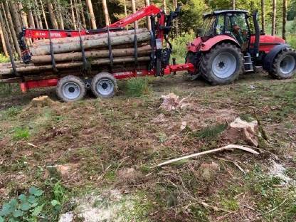 Bild 4:Rundholztransport, Holztransport, Rückewagentransport