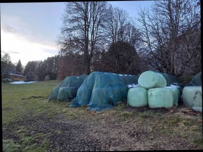 Verkaufe Bio-Siloballen in Tirol